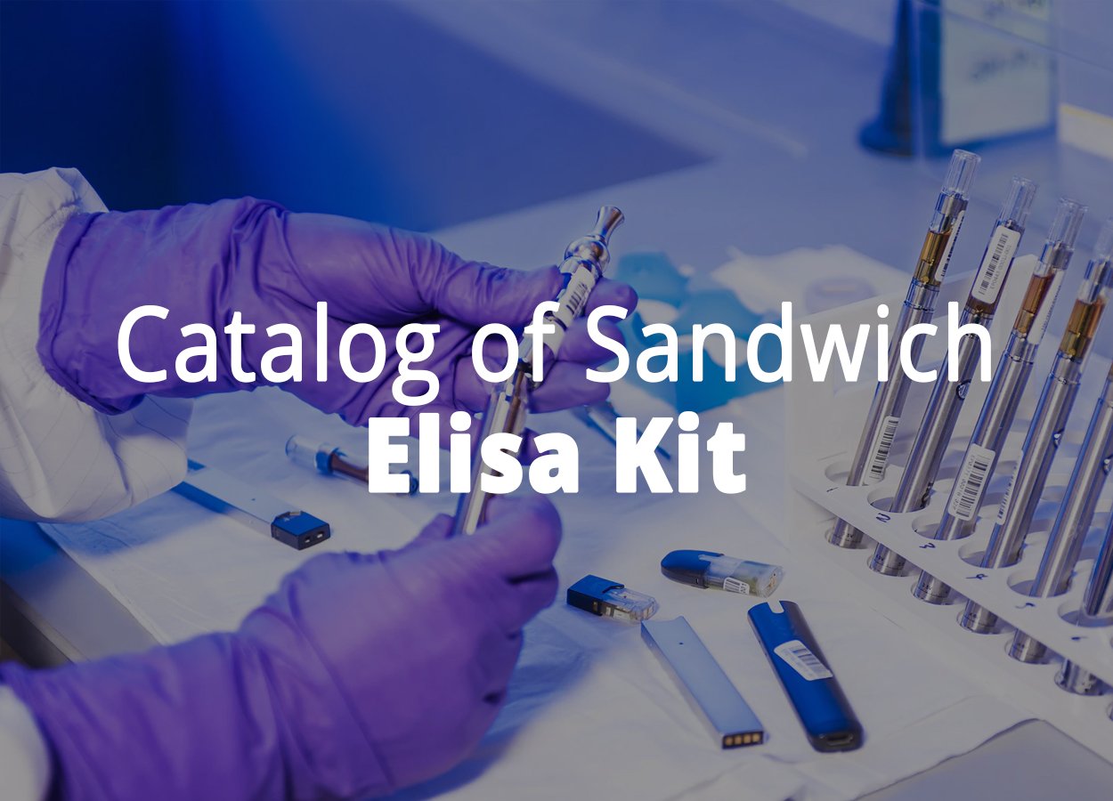 Catalog of Sandwich Elisa Kit